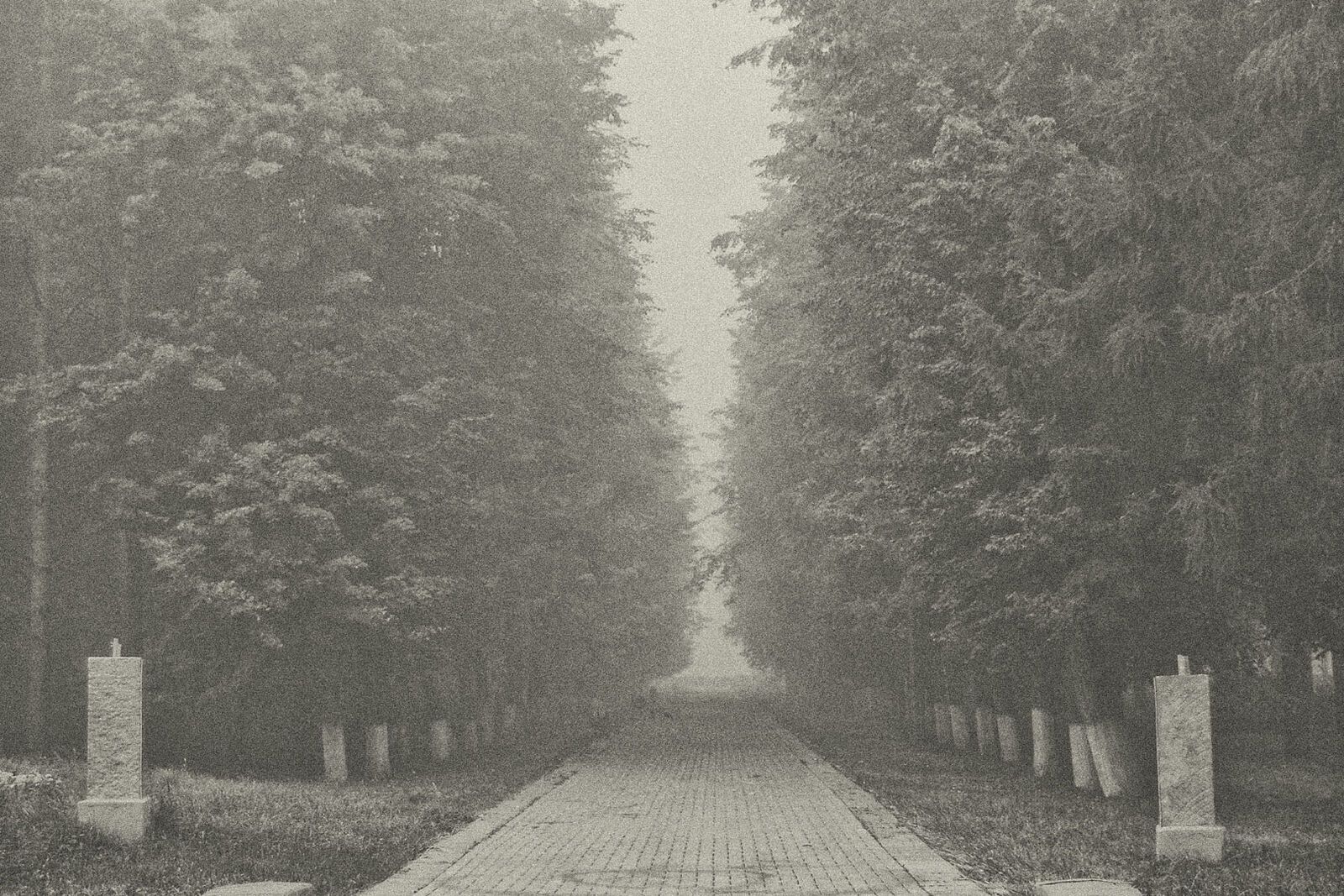 Konstantin Chemeris. Town. Untitled