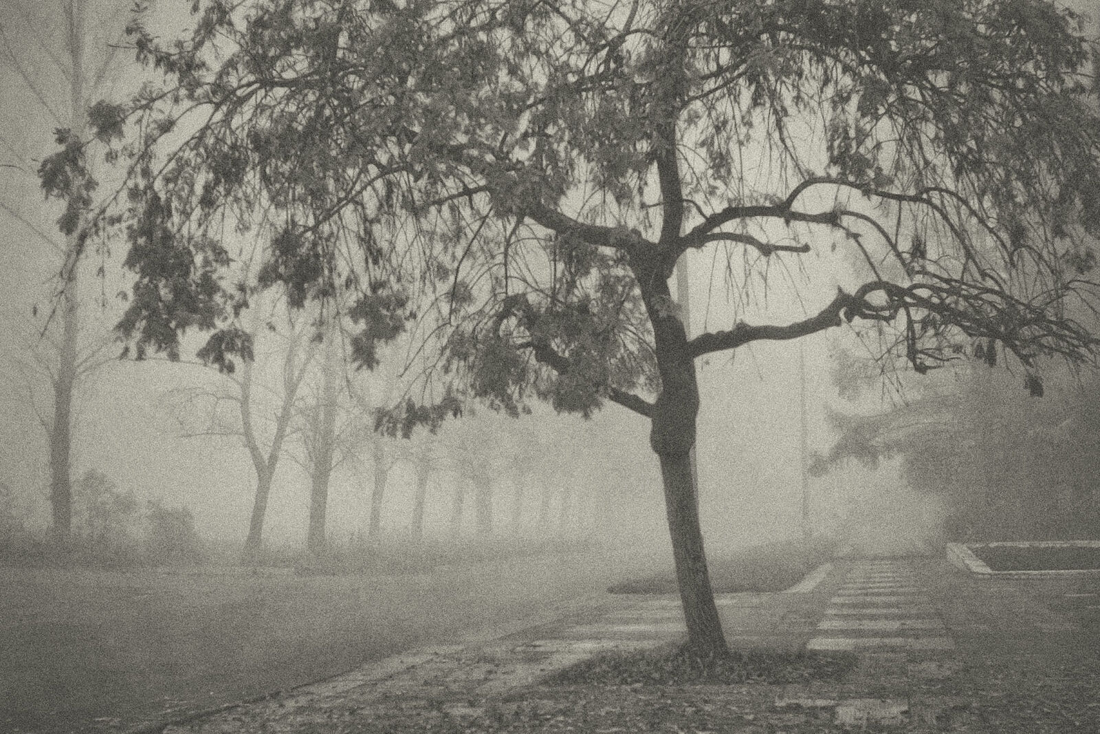 Konstantin Chemeris. Town. Untitled