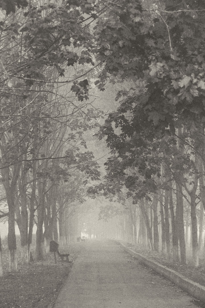 Konstantin Chemeris. Town. Untitled
