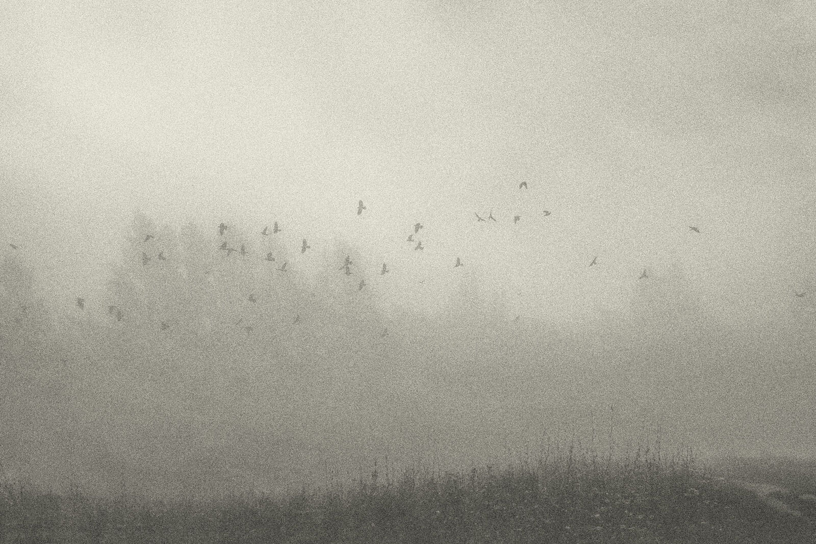 Konstantin Chemeris. Town. Untitled