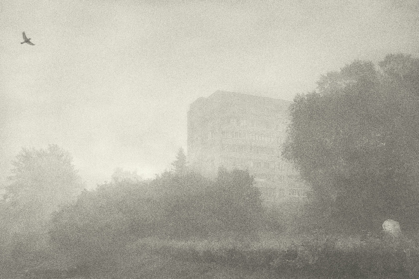 Konstantin Chemeris. Town. Untitled