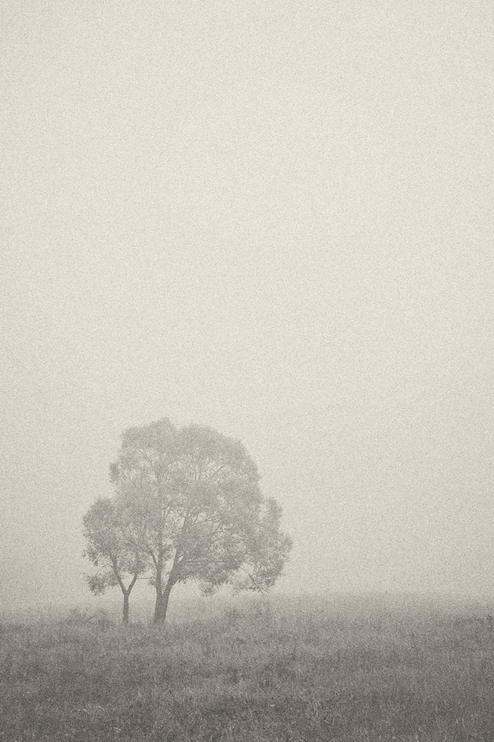 Konstantin Chemeris. Town. Untitled