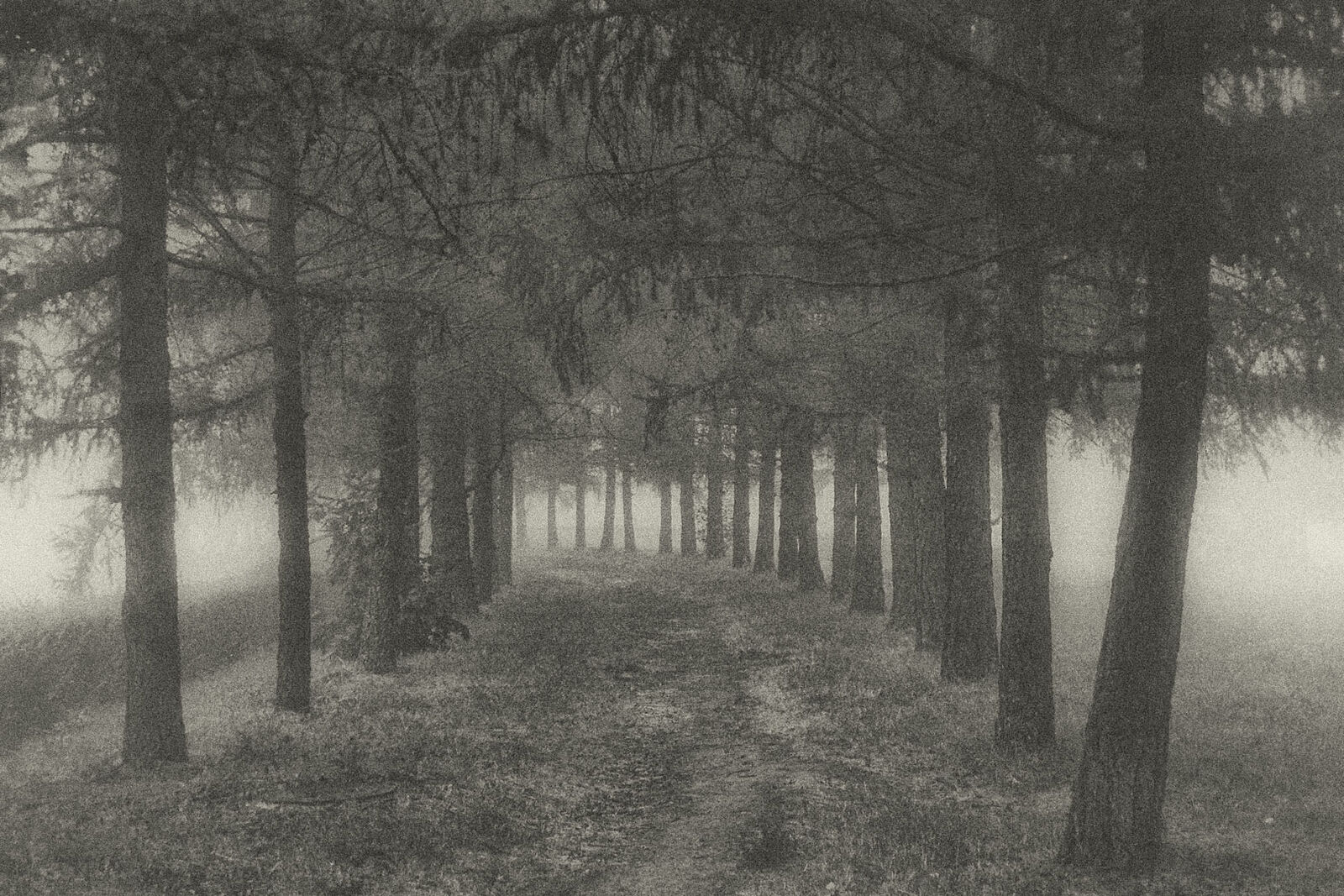 Konstantin Chemeris. Town. Untitled