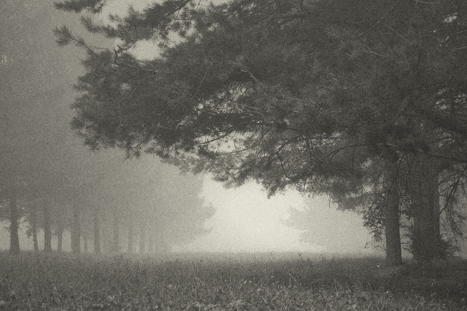 Konstantin Chemeris. Town. Untitled